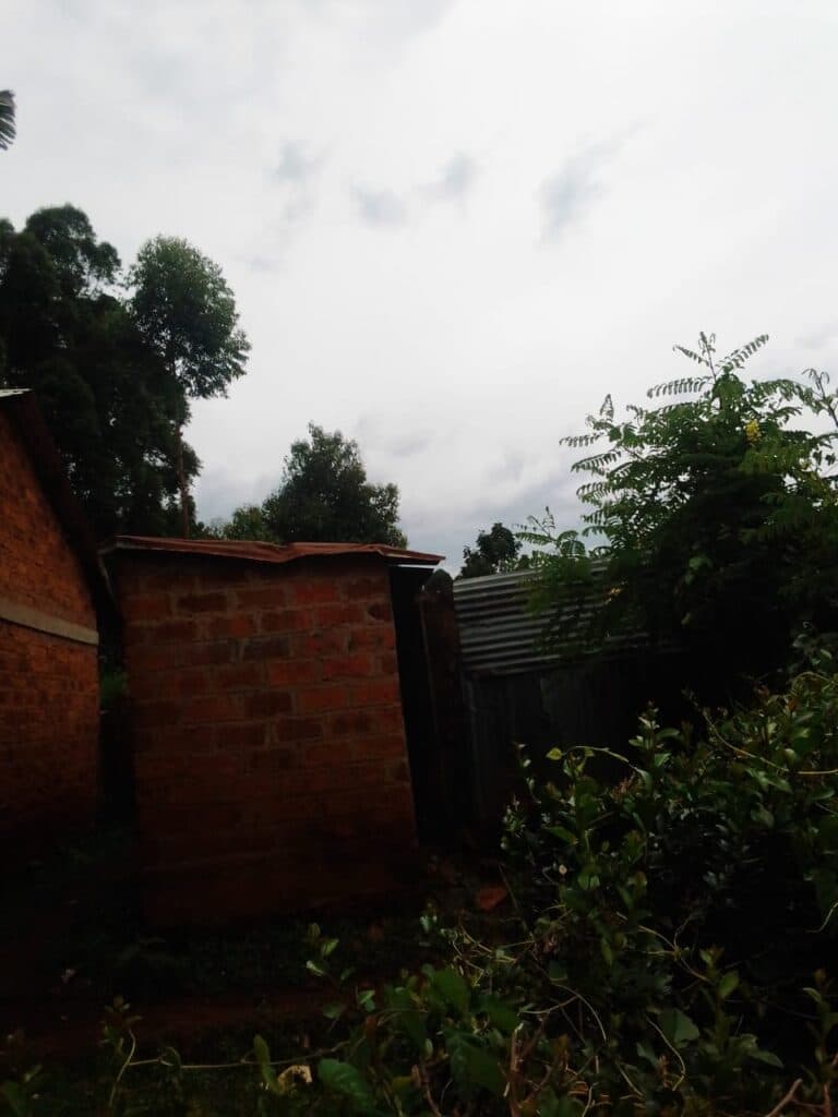 School appeals for help over their run-down facilities image 2