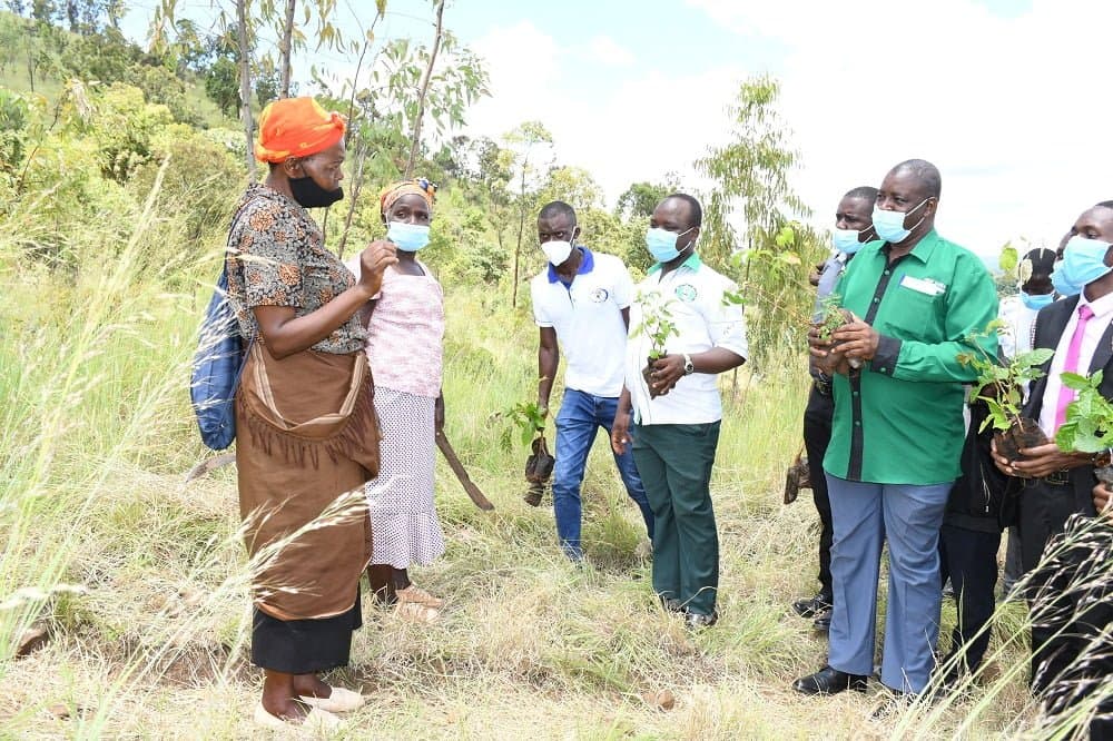 Chuka University spearheads planting of 5,000 trees to boost forest cover