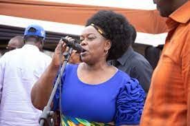 Proposals in the University Amendment Bill displease Members of Parliament