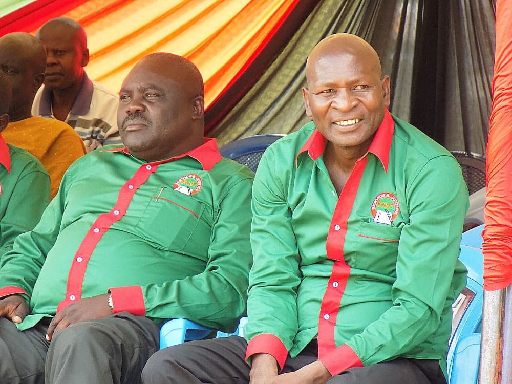 Over 50 teachers seeking elective positions in county