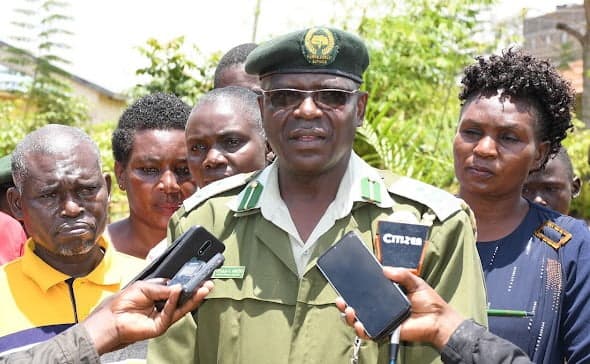 KFS to plant 3 million trees in Busia
