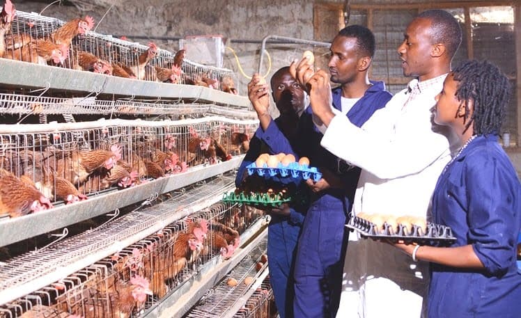 MKU Nakuru campus acquires Centre of Excellence status image 1