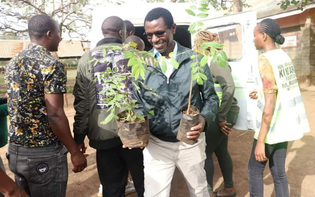 Schools to plant 60,000 trees during rainy season