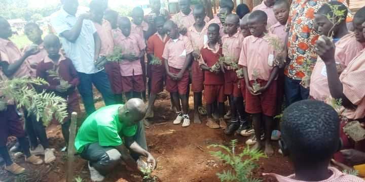 Mundika Primary plants 350 tree seedlings to mitigate climate change