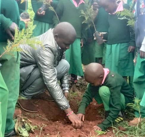 Climate ambassador calls for afforestation campaigns in schools