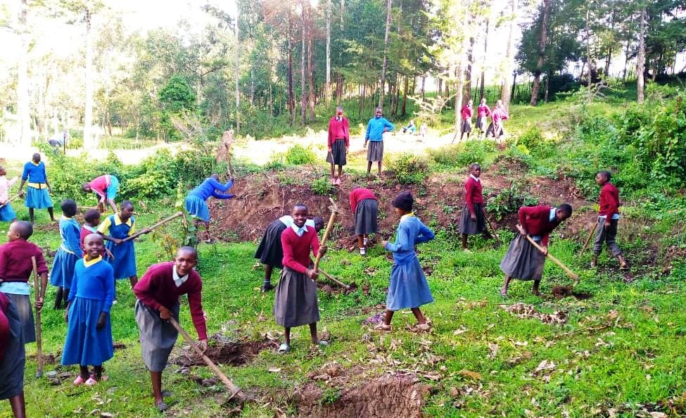 West Pokot school running six-acre forest hungry to plant more trees