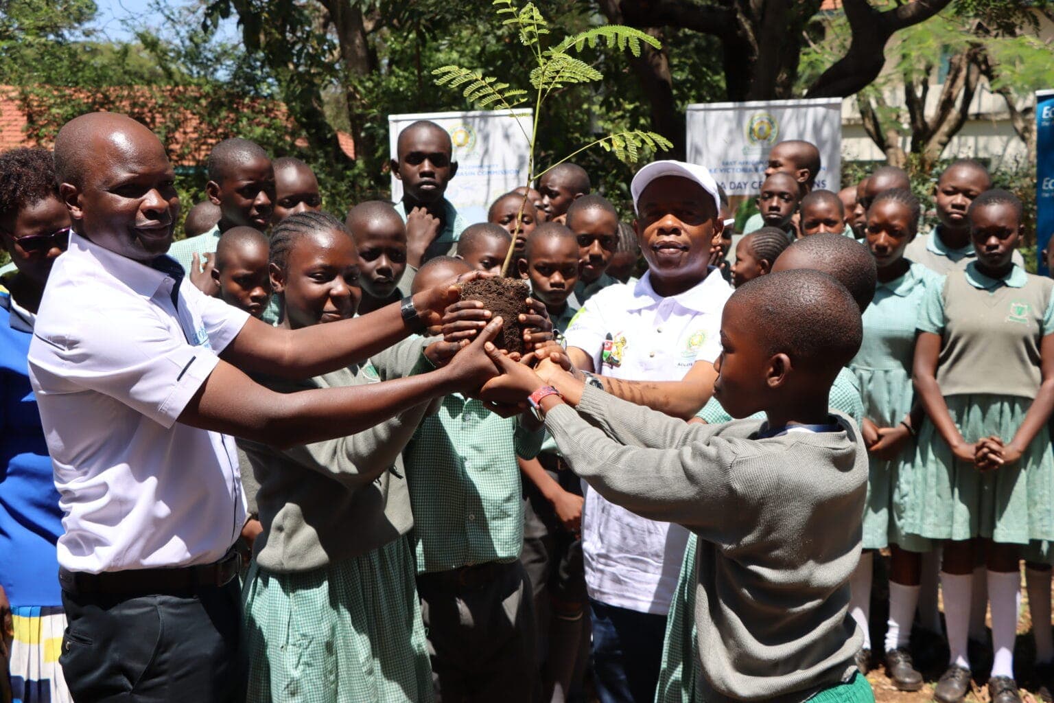 Schools in Kisumu, Kajiado receive 1,000 trees to curb climate change