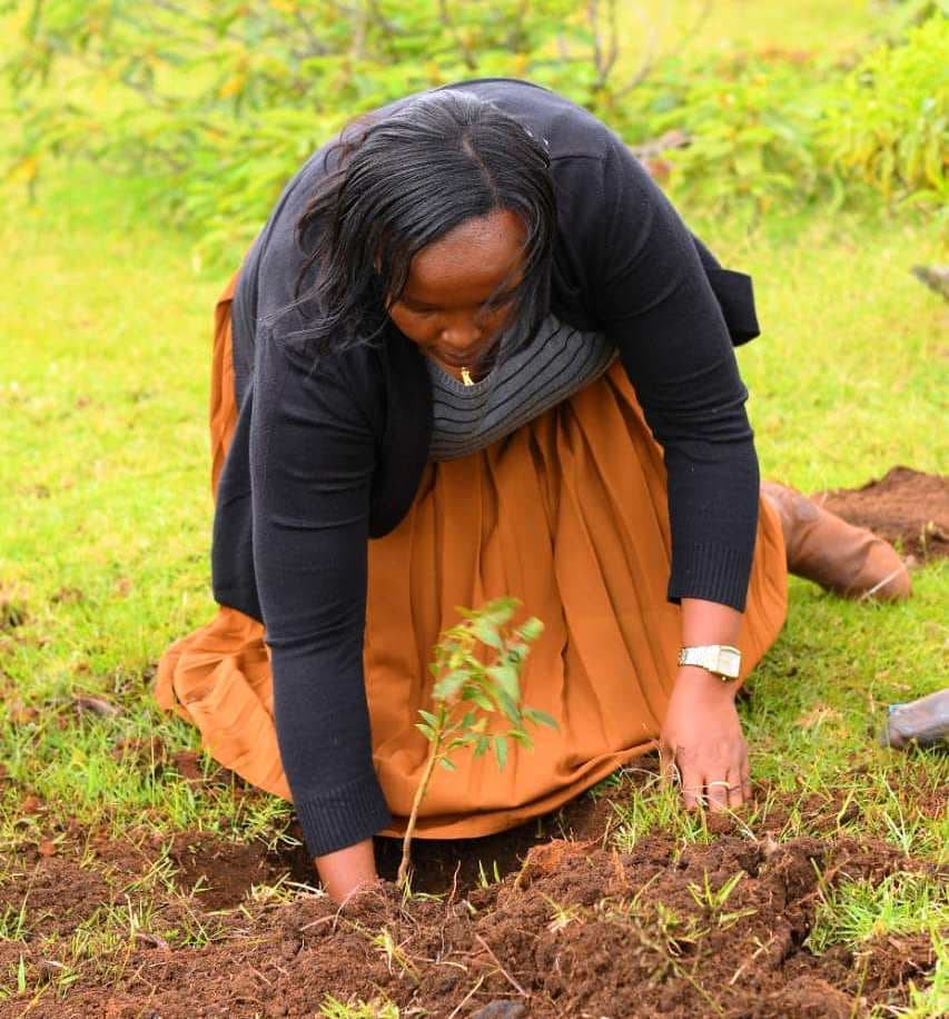 Laikipia Woman Rep launches fruit-trees planting initiative in 473 schools