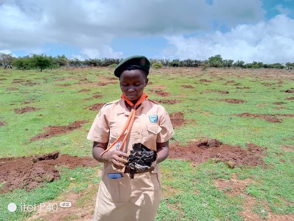 Machakos University students spearhead tree planting at Maruba Dam