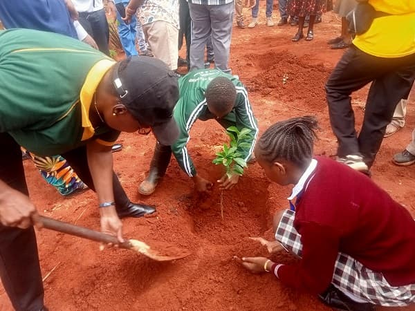 Voi students take lead in tree planting exercise
