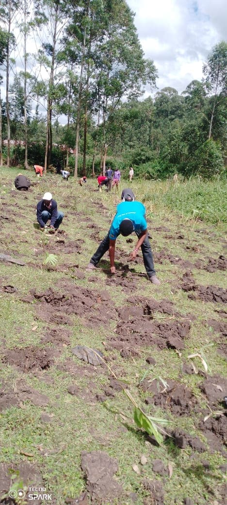 Parents, teachers urged to involve children in indigenous tree planting image 1
