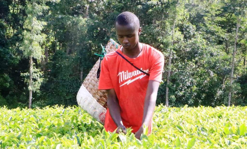 Former MP to fully sponsor top 2023 KCSE candidate in Embu image 1