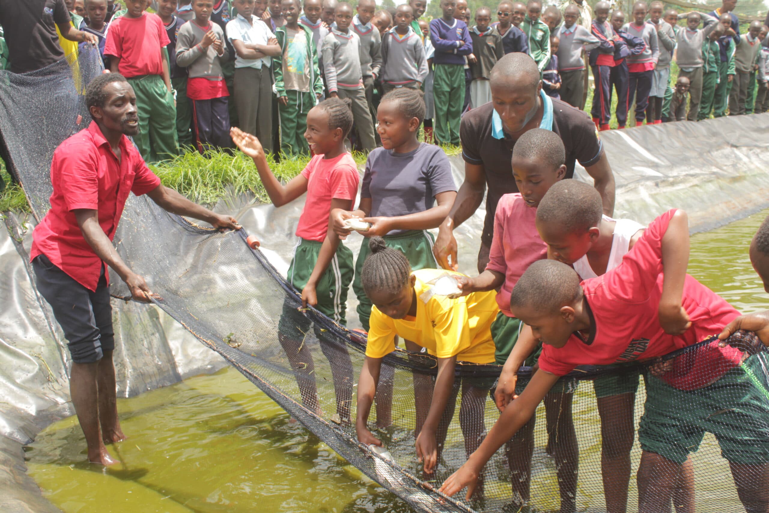 Public schools may now pay taxes as govt collects crucial data