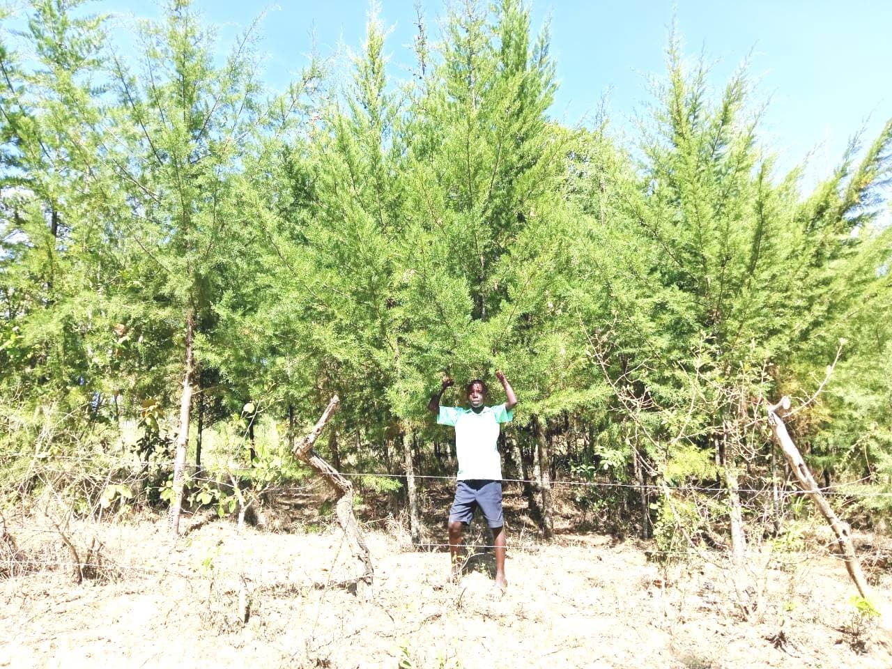 Student in grade 7 plants 250 trees in West Pokot