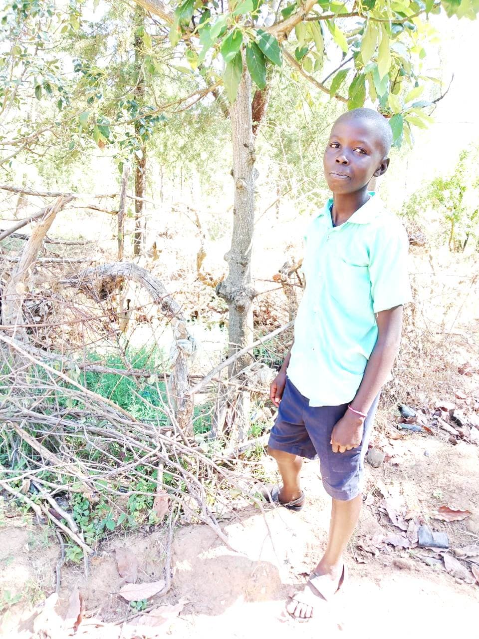 Student in grade 7 plants 250 trees in West Pokot image 2