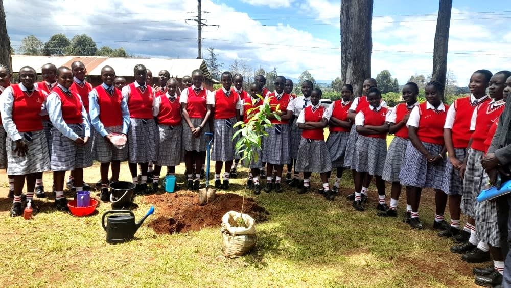 Moi Girls Nangili in Kakamega honoured for excellence in 2023 KCSE image 1