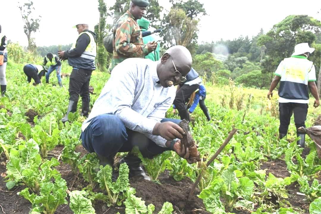 No extension for Term Two despite delays in schools reopening, PS Kipsang says