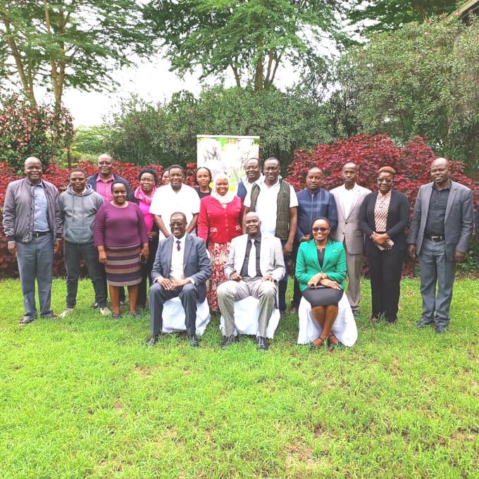KNQA holds workshop to draft national standards, guidelines for KCATs Policy image 1