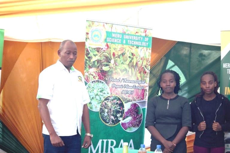 Meru varsity students get around Miraa ban with new khat products image 1