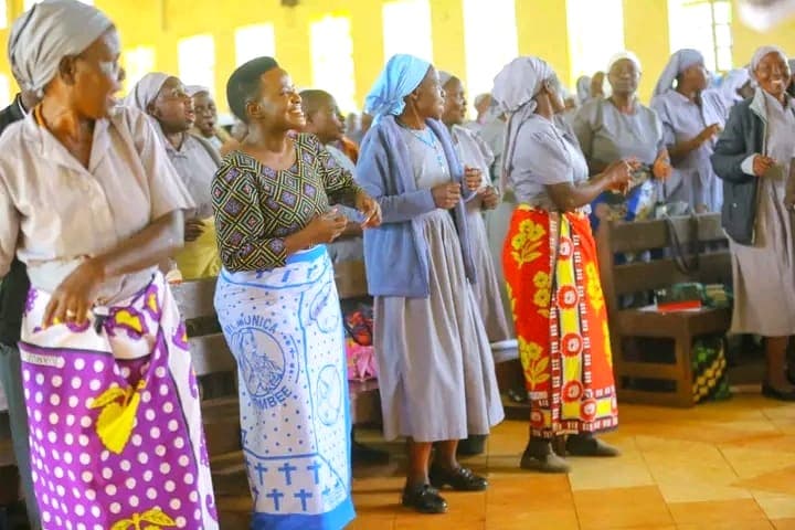 Catholic church praised for playing key role in promoting education image 1