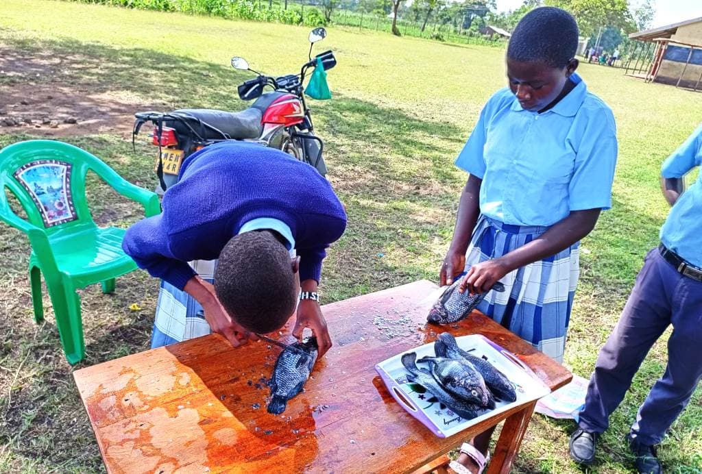 Private schools take lead as 120 institutions launch Grade 10 under CBC rollout