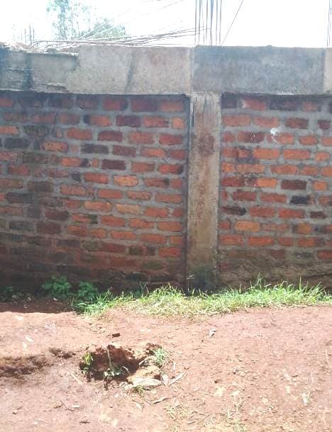 Government blamed for shoddy preparations for Grade 9 transition image 1