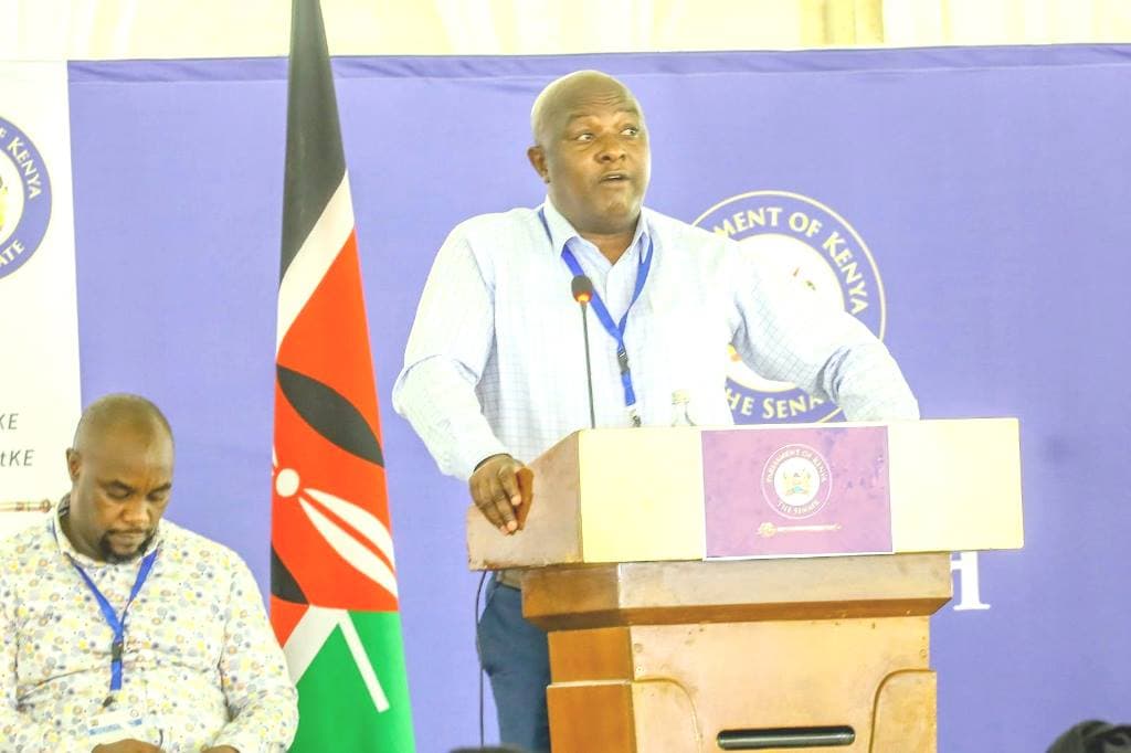 Senator supports scraping of county bursaries to curb mismanagement of funds