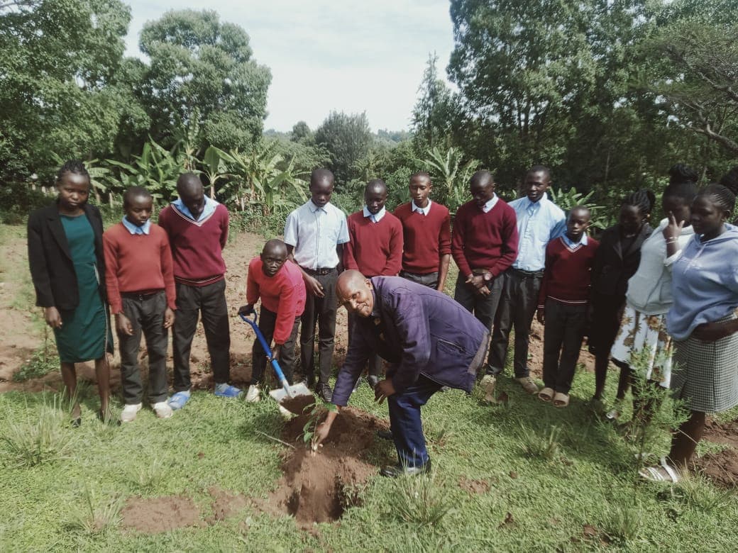 New school head in West Pokot leads learners, teachers in planting 800 trees