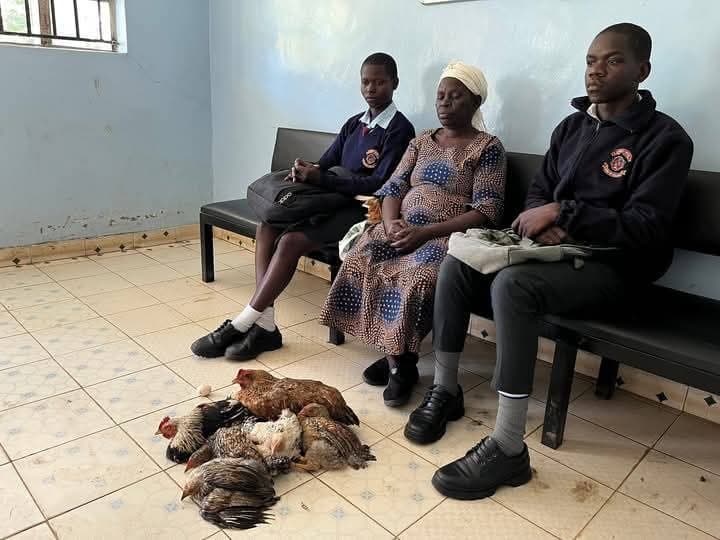 Emotions high: Parent takes chickens to school to clear school fees for her grandchildren