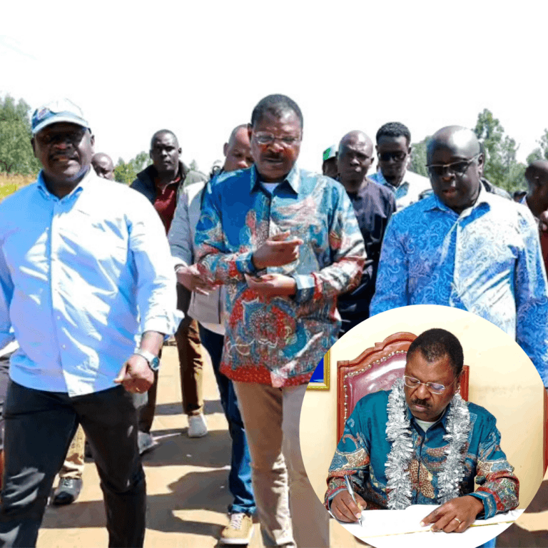 Speaker Wetangula donates 30 computers as Khwisero MP unveils lab, classrooms honouring late mother
