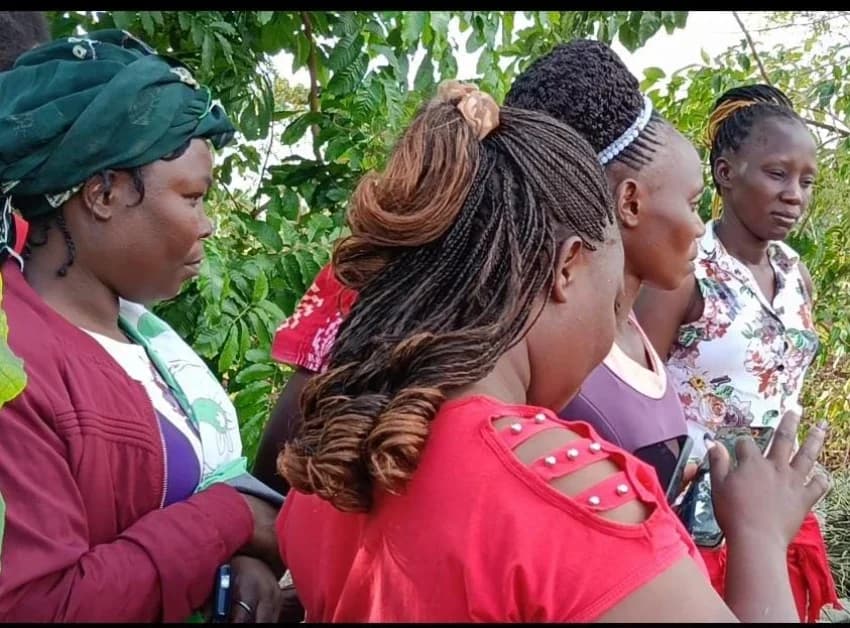 Kirinyaga student misses exams after being ‘drugged’ on way to school