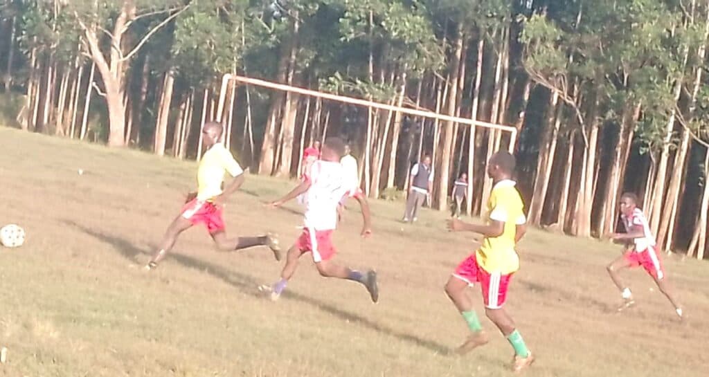 Sports helps improve discipline, talent and academic performance, says school principal image 1