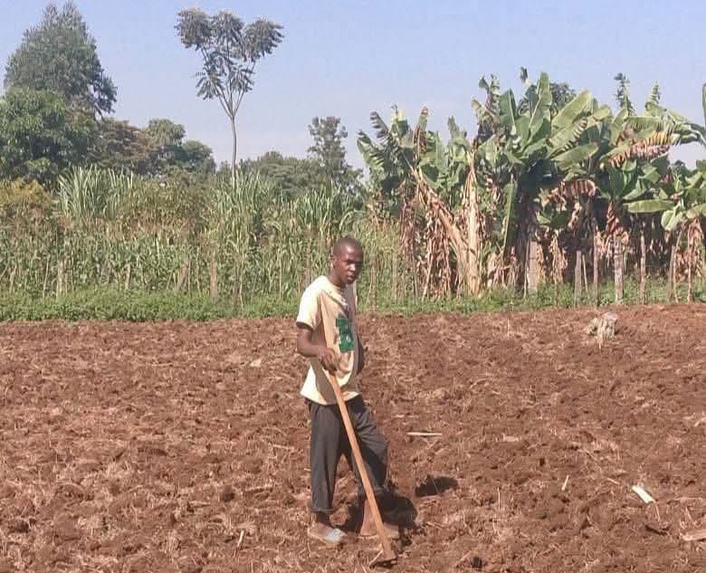 Festus Mutai, former top KCPE candidate, appeals for support to resume university studies