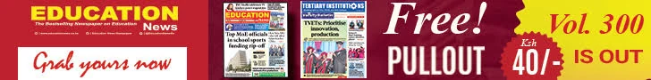 Epaper 300