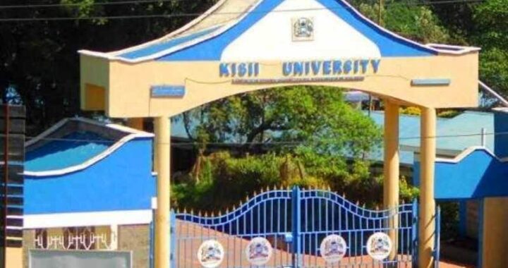 UNIVERSITY PLACEMENT