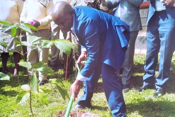 Embrace community schools, parents told