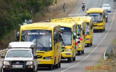 School buses on the road