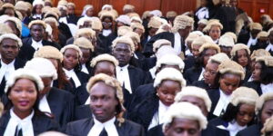 A group of law students