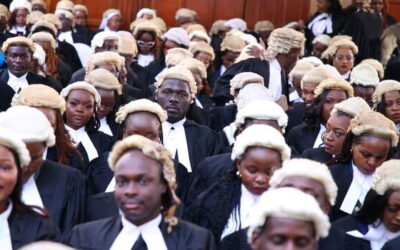 A group of law students