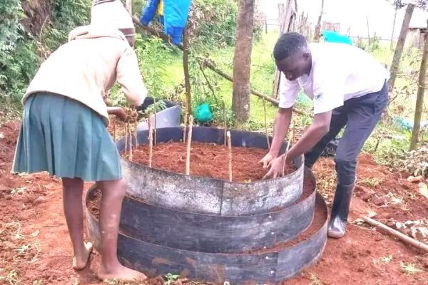 Good news as Kenyan teacher shortlisted for KSh129 million global award