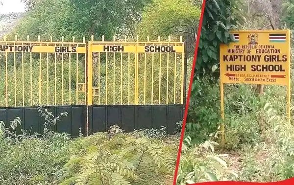 MoE laxity has fuelled mushrooming of unregistered schools