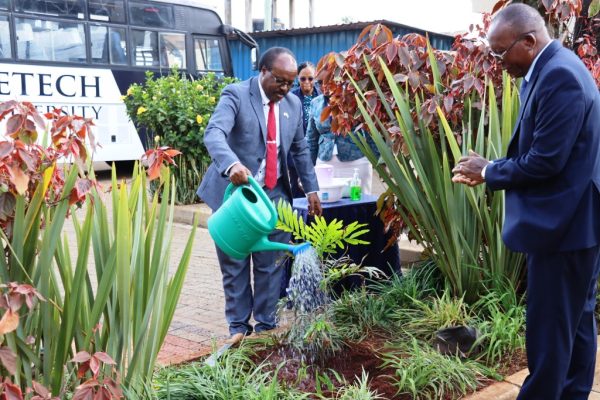 CUE partners with KFS to distribute 20,000 seedlings to universities in environmental conservation