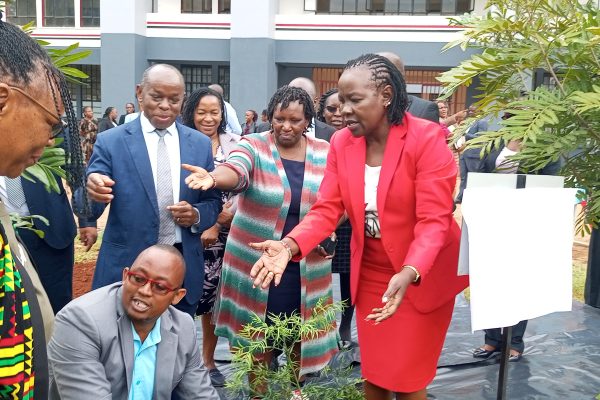 TVET to plant 3.5 million trees in greening initiative