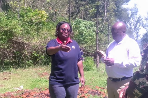 Learners encouraged to be environment ambassadors as KIE donates trees to schools