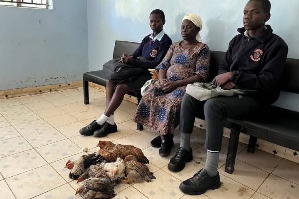 Emotions high: Parent takes chickens to school to clear school fees for her grandchildren