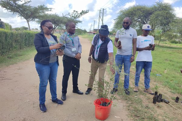 Maasai Poly plants over 3000 trees in an effort to achieve TVET greening agenda