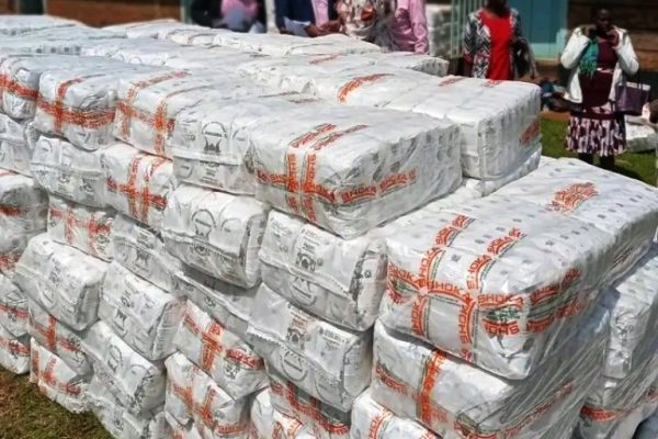 Over 9,500kg of fortified flour dispatched to Mt Elgon in Bungoma to boost ECDE learning