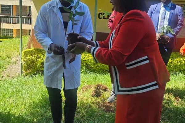 Mathenge TTI leads in greening drive as 1,500 trees planted