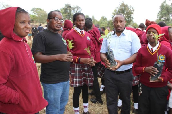 Machakos learners embrace tree planting as school launches environmental campaign