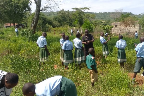Muchukwo learners, Treemissions partner for reforestation at Lake Kamnarok, planting over 11000 trees